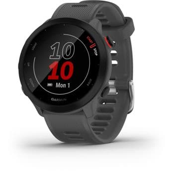 Foto: Garmin Forerunner 55 grau