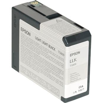 Foto: Epson Tintenpatrone light light black T 580  80 ml        T 5809