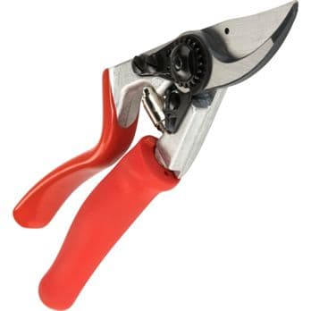 Foto: Felco 10 Classic Gartenschere