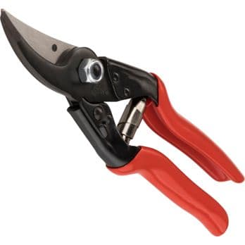 Foto: Felco 5 Classic Gartenschere