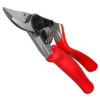 Foto: Felco 7 Classic Gartenschere